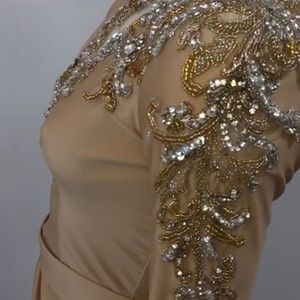 AlbinaDyla evening gown.